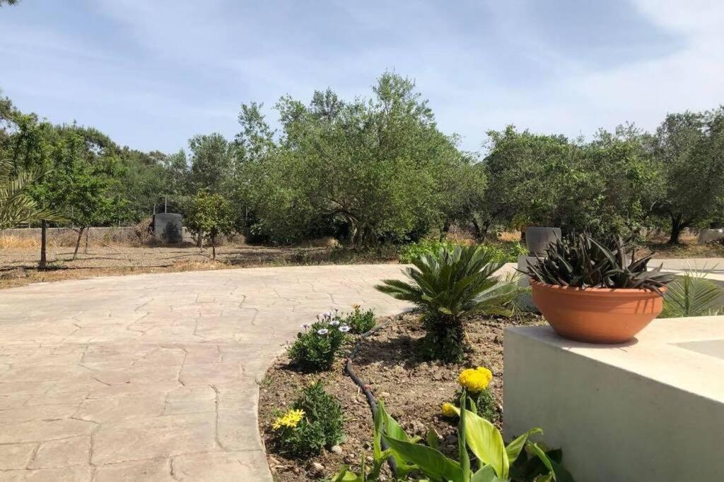 Fiore Di Rodi - Private Pool, Jacuzzi And Barbecue Ιαλυσός Ρόδος Εξωτερικό φωτογραφία