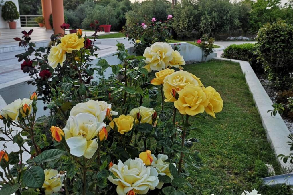 Fiore Di Rodi - Private Pool, Jacuzzi And Barbecue Ιαλυσός Ρόδος Εξωτερικό φωτογραφία
