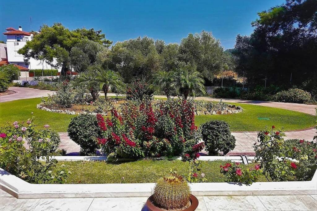 Fiore Di Rodi - Private Pool, Jacuzzi And Barbecue Ιαλυσός Ρόδος Εξωτερικό φωτογραφία